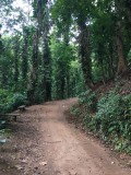 Royal park Kandy